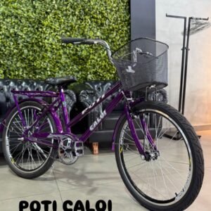 BICICLETA FEMININA ARO 24