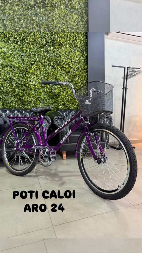 BICICLETA FEMININA ARO 24